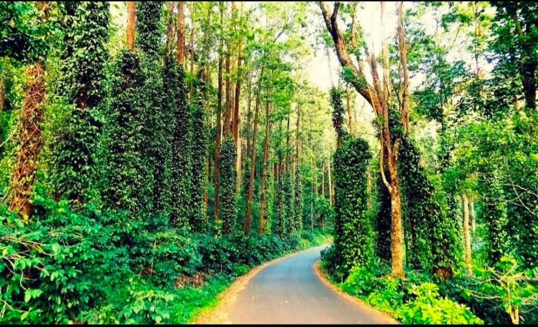 Sp Resort Inn Yercaud Exterior foto